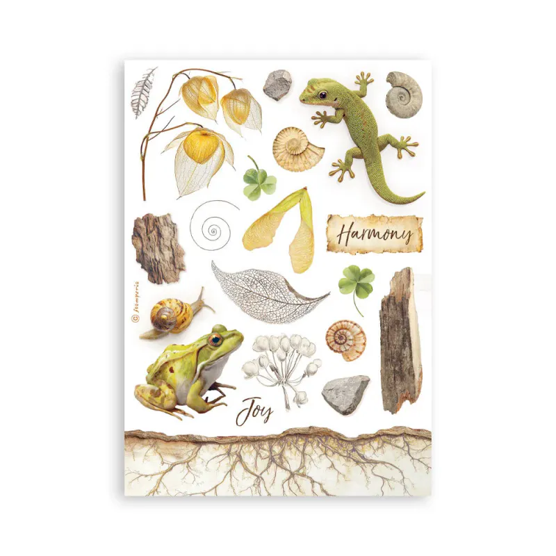 Stamperia – All Around A5 Washi Pad (8 ark)