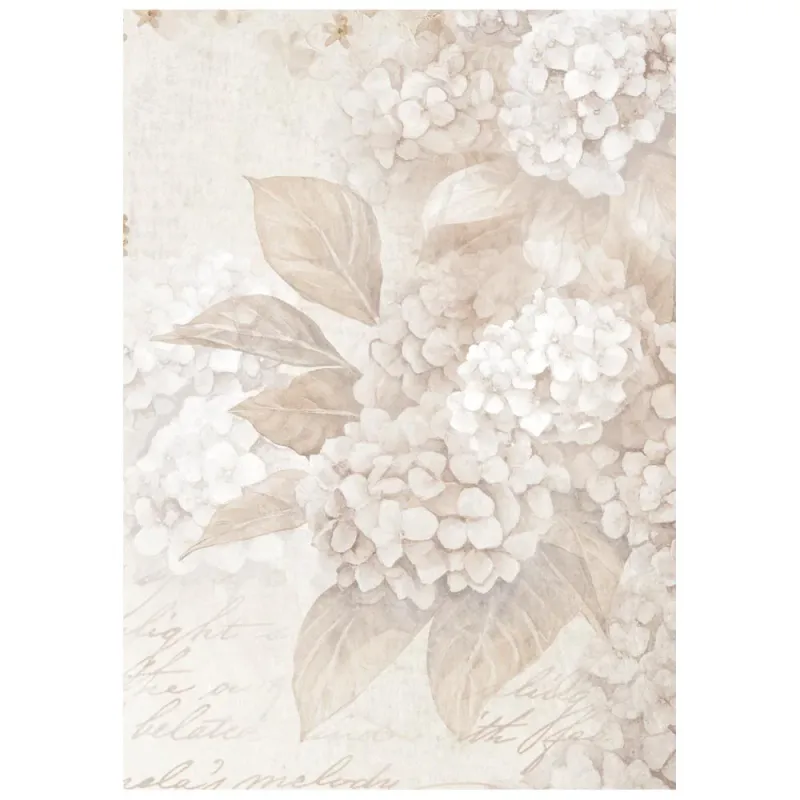 Stamperia – Quiet Days A6 Rice Paper Backgrounds (8 ark)