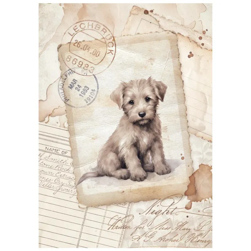 Stamperia – Quiet Days A6 Mini Rice Paper (8 ark)